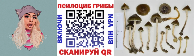 Псилоцибиновые грибы ЛСД что такое Суоярви